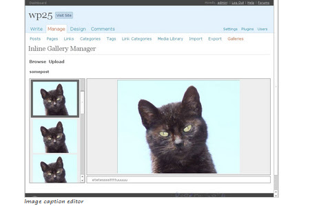 Inline Gallery