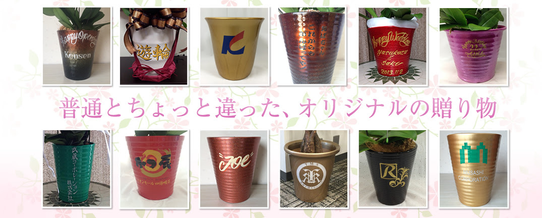 あなただけのオリジナル胡蝶蘭を オンリー蘭