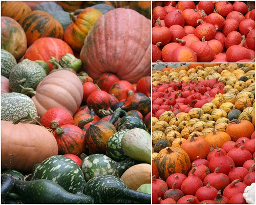 Lots of curcubits IV