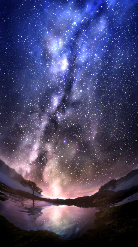 壁紙 夜空 猫