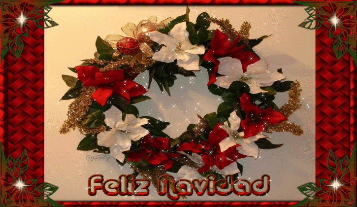 FELIZ NAVIDAD Pictures, Images and Photos