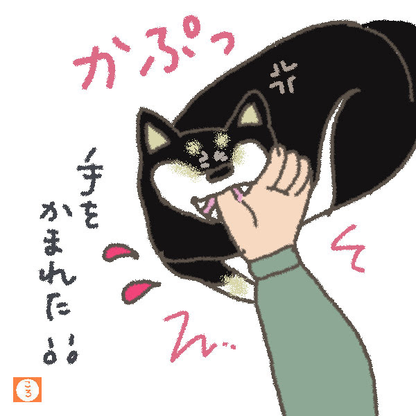 飼い犬に手を噛まれる ころちゃんブログ 手描きイラスト 雑文
