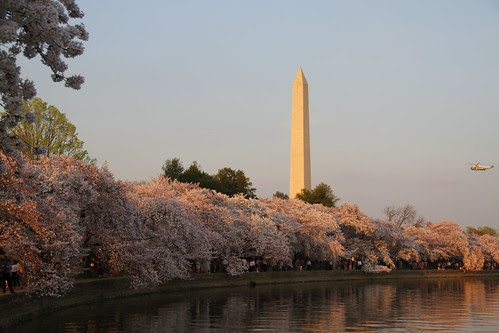 Washington DC Day 1 287-001
