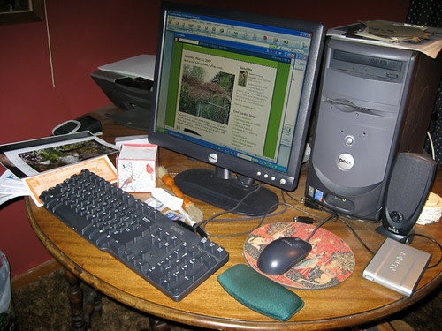 LostRosesMay 005_resize