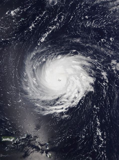 hurricane florence wikipedia