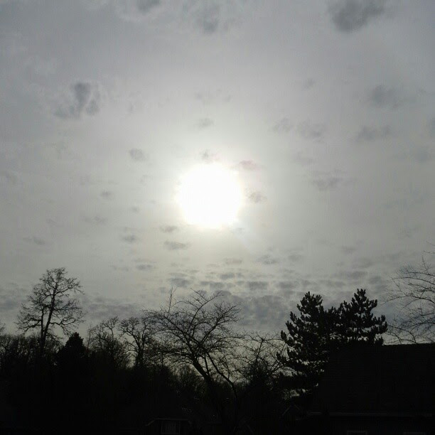 BloghopFeb12