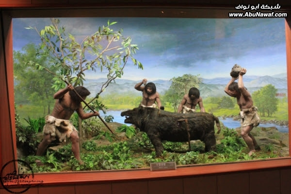 تقرير : زيارتي إلى كوريا الجنوبية