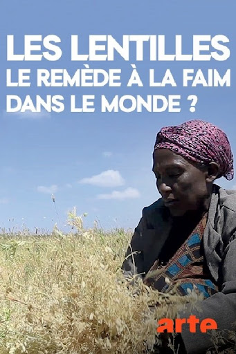 Kép