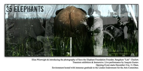 35 Elephants Art Immersive at LEA - Copy to Kara by Kara 2