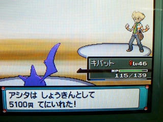 ポケモン プラチナ４５日目 チャンピオンロード ポケモンリーグ着 うさぎ愛好会 旧
