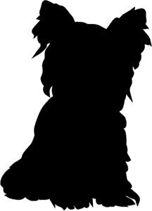 Download The best free Yorkie silhouette images. Download from 64 free silhouettes of Yorkie at GetDrawings