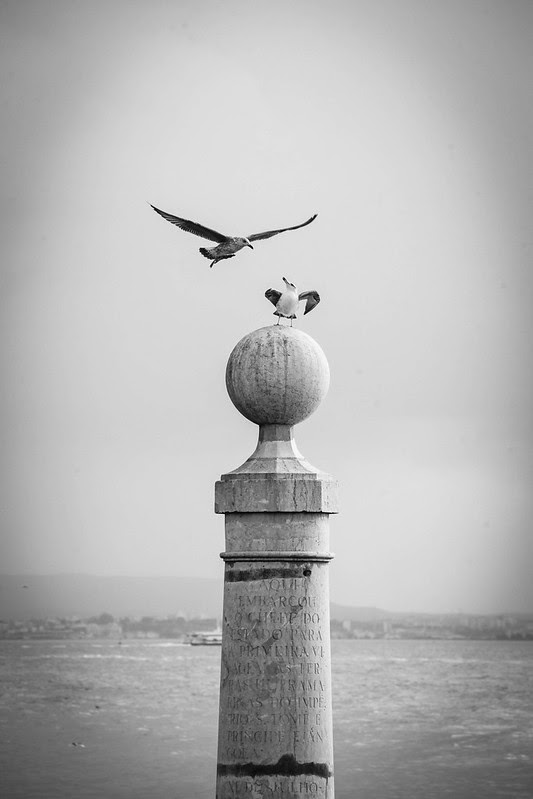 _MG_0039
