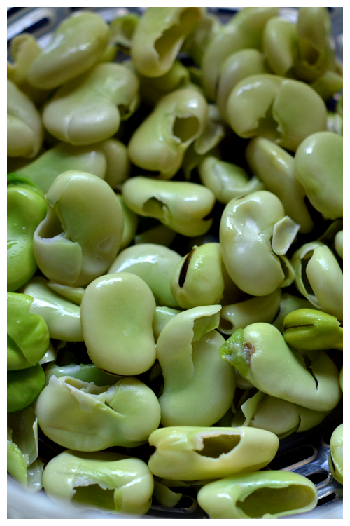broad bean skin© by Haalo
