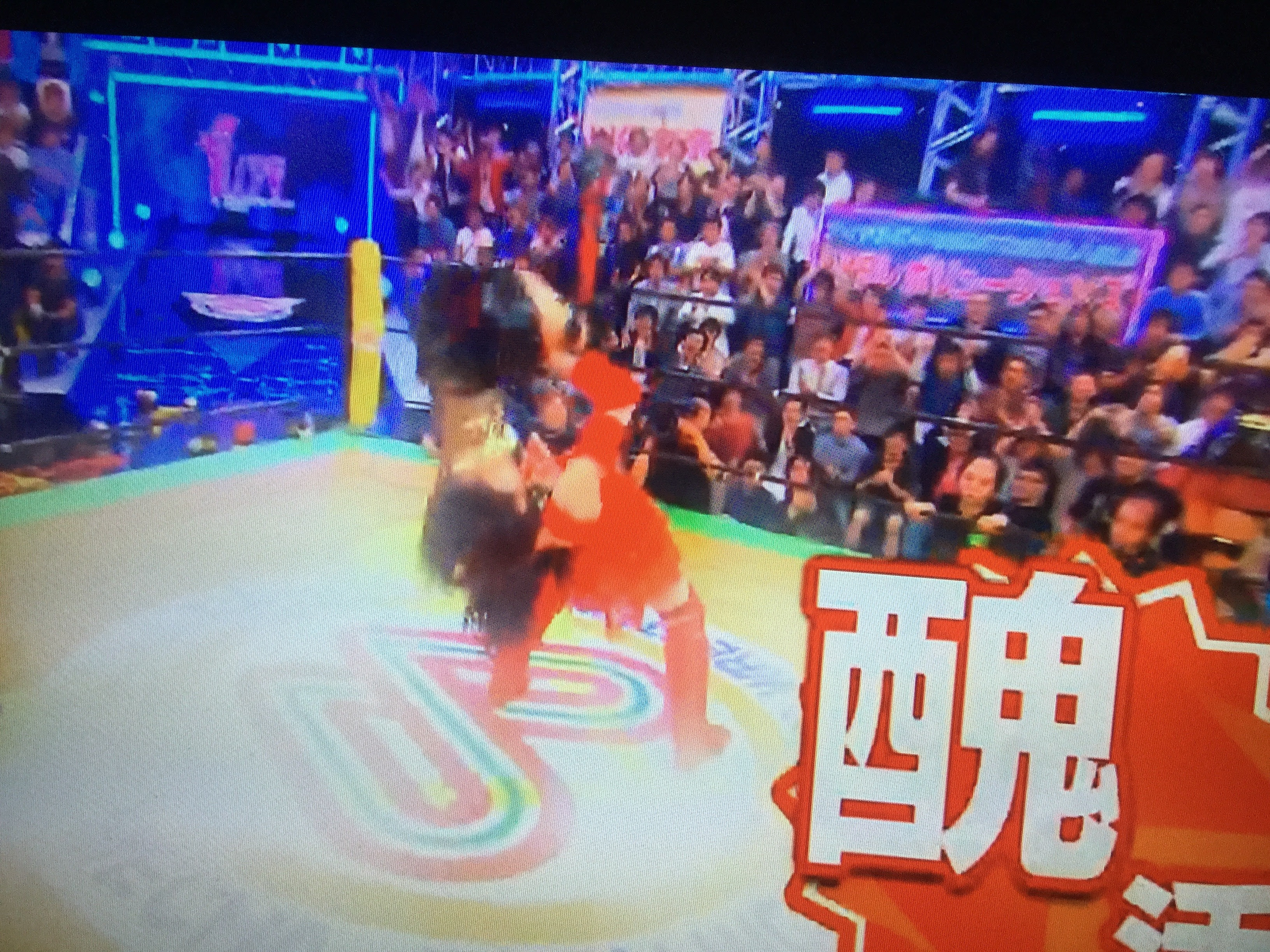 次回 めちゃ 2イケてるッ は めちゃ日本女子プロレス ファイナル 対戦相手はakb48 事実上の めちゃ女vs豆腐プロレス 対抗戦 プロレス 専門ブログ ブラックアイ3
