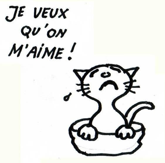 Choisir Un Nom Pour Son Chaton Le Blog De Maliki Thecat