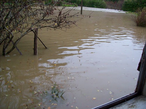 flood 2009