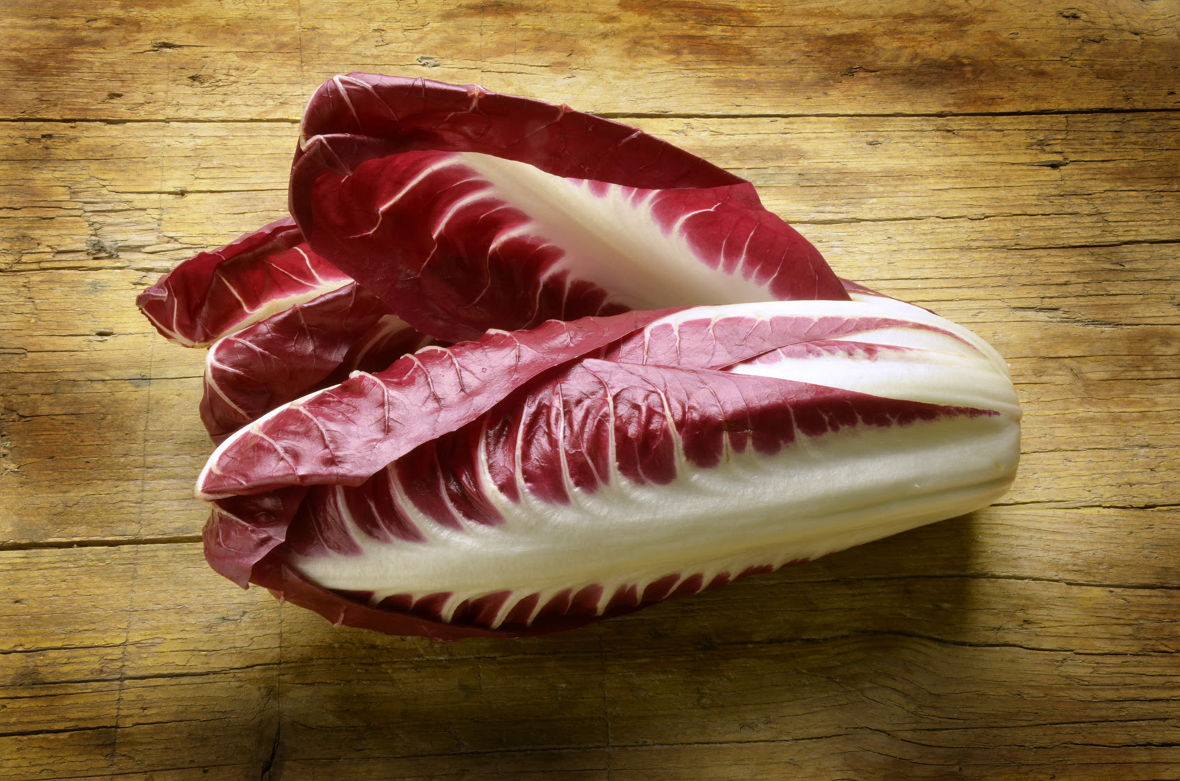 チコリーの育て方 栽培方法 イタリア野菜 西洋野菜通販 アトラクティーボ