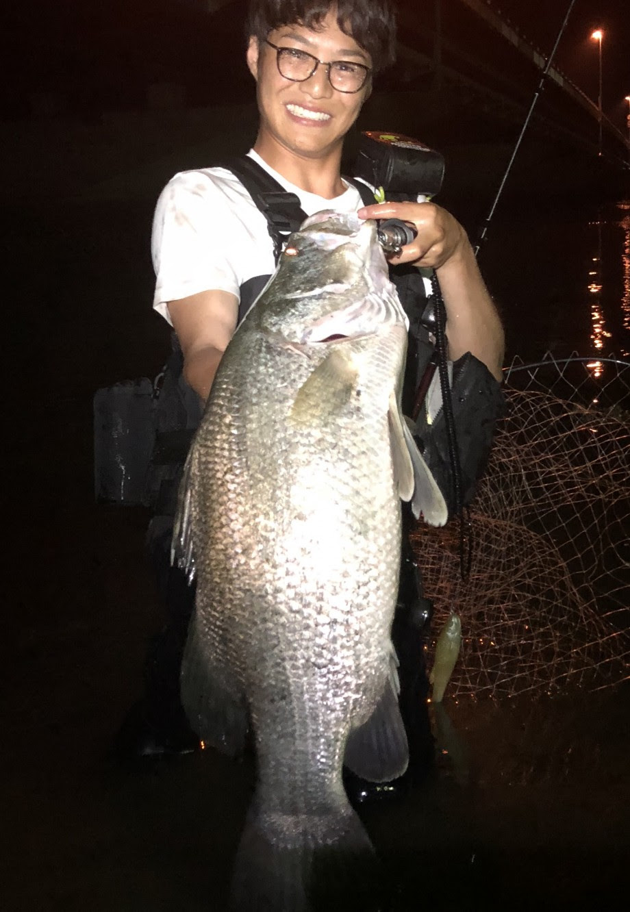 To Be Fish 毎夜浦戸湾徘徊