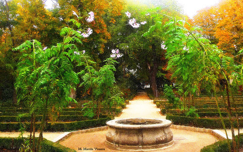 un jardín