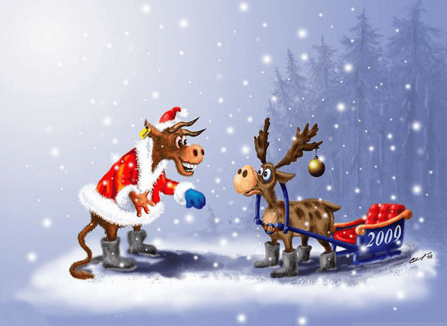 Funny Christmas Wallpapers Wallpaper Cave