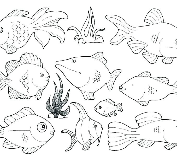 Download Deep Sea Creatures Coloring Pages at GetColorings.com ...