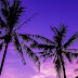 Nice Wallpapers - Nice S Wallpaper 1920x1200 40244 : Aug 01, 2021 · download our free software and turn videos into your desktop wallpaper!