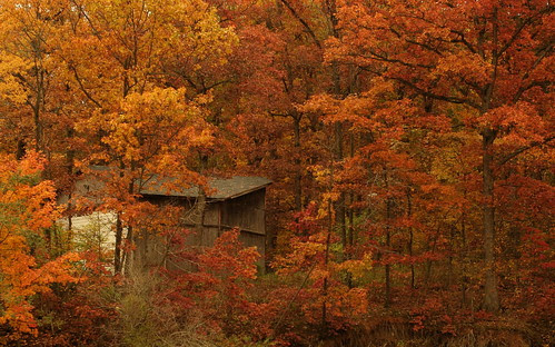 Fall