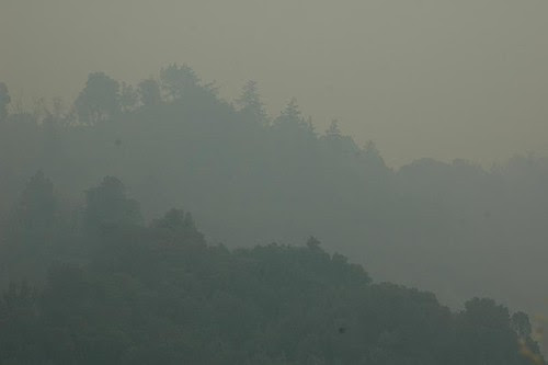 Smoke in the Bay Area