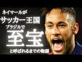 上 ブラジル の 至宝 320414-���ラジルの至宝