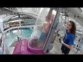 West edmonton mall waterpark hours 220553-West edmonton mall  waterpark birthday prices