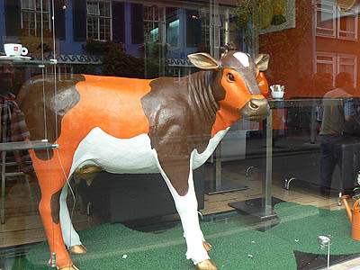 Vache.jpg