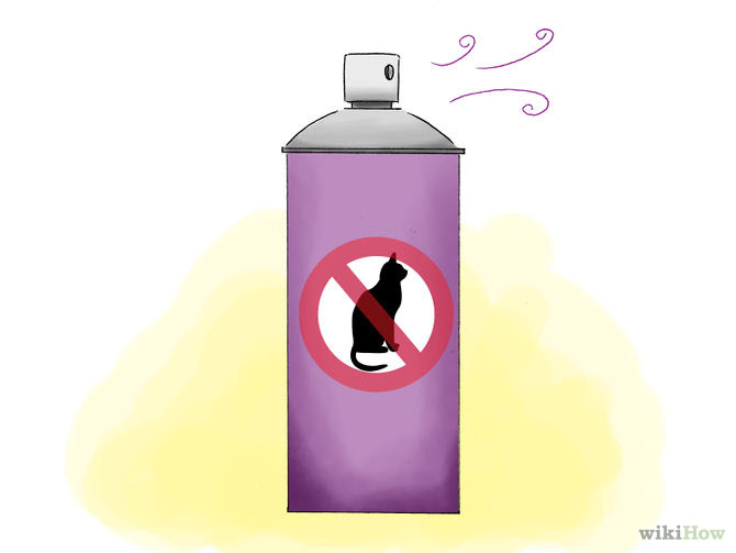 Repel Cats Step 10.jpg