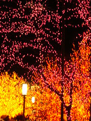 Temple Sq