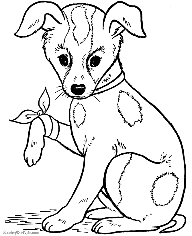 Download Cat and dog coloring pages to download and print for free