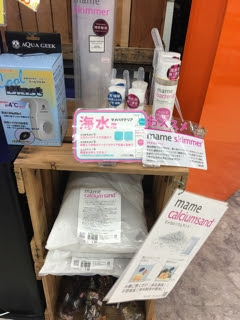 アクアテイラーズ森ノ宮店さんは マメデザイン アクア ブログ De ニュース