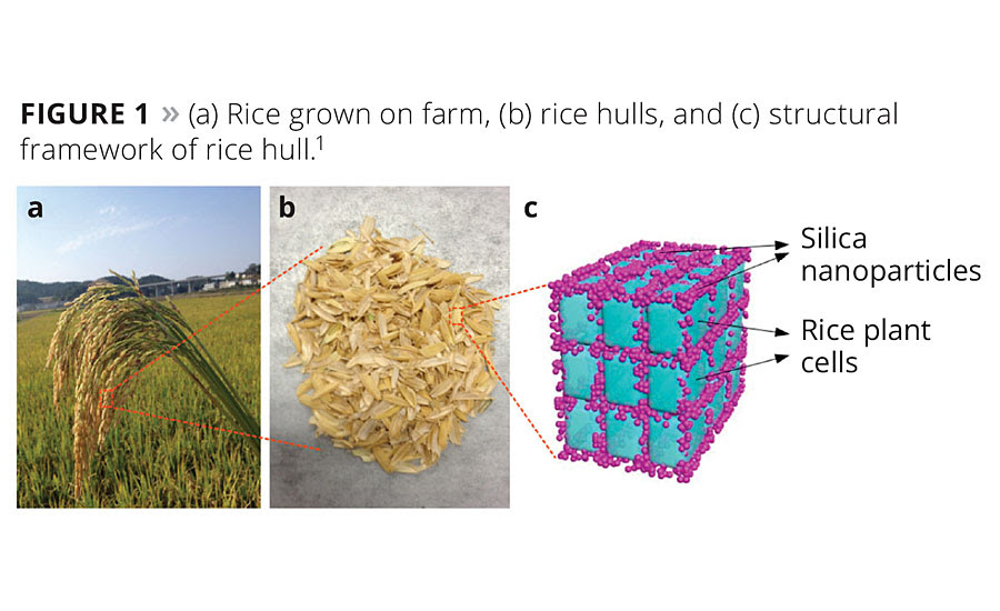 Biogenic Silica Harvested from Rice Hulls | 2015-04-01 | PCI Magazine
