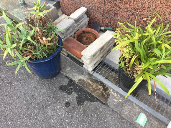 園芸用の土を回収し 畑でリサイクル 河南菜農園 関西を中心に関東や九州まで ちょっと信じられないくらい遠くまで回収しにいきます