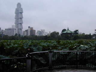 花より男子 ロケ地ガイド