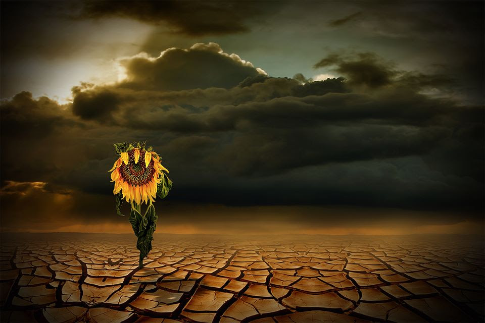 photography gallery, artfreelance 
