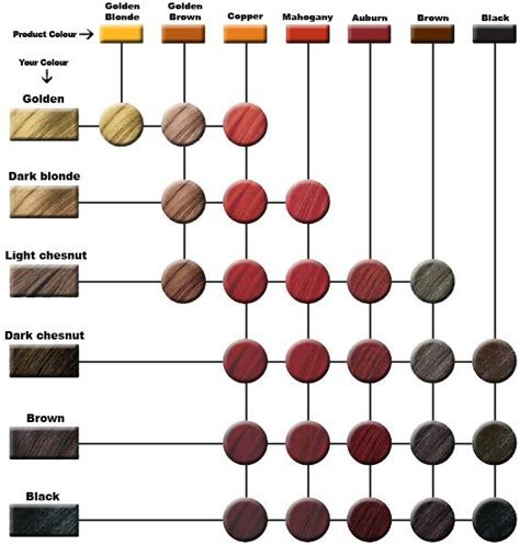 Websep 25, 2023 · natural henna acts as the best henna hair dye for grey hair. bx brow xenna color palette color chart lupongovph