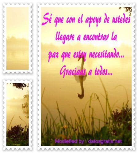 Mensajes De Agradecimiento Por Pesame – Datosgratis.net