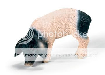 piglet