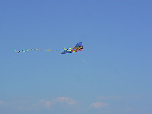 cerf volant.jpg
