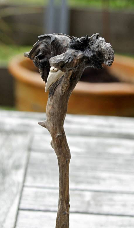 vogel4 