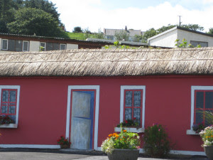 Copy of IMG_4069 Copy of IMG_4069