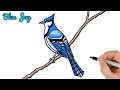 25 ++ easy cute blue jay drawing 241953