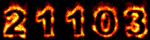 xanga analyzer