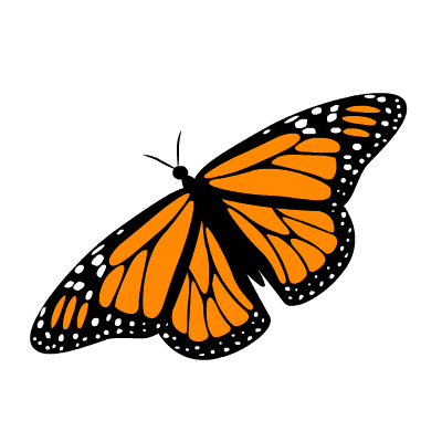 Butterfly Coloring Sheets on Butterfly Pictures The Largest Free Butterfly Picture Website