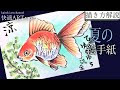 √1000以上 リアル 和風 金魚 イラスト 125275