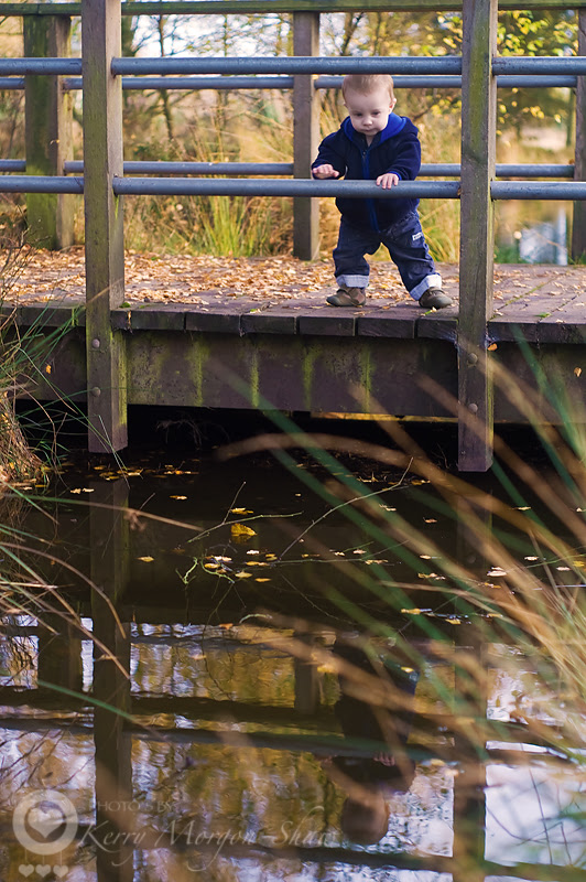 Bridge reflections